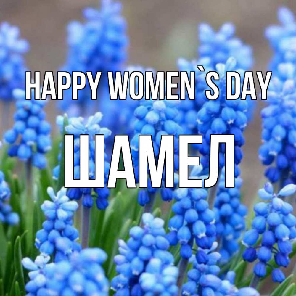Greetings card с именем, ШАМЕЛ happy women`s day Поздравительная открытка для женщин с цветами на праздничную дату Greetings with text for free download 